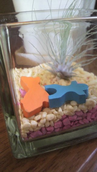 セリア、100均の観葉植物育ててる方☆