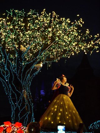 ﾃﾞｨｽﾞﾆｰﾗﾝﾄﾞ＆ｼｰ【写真】