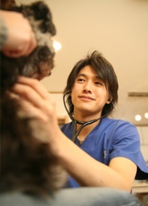 行列のできる法律相談所