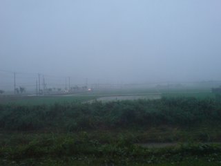 【福岡】【総合】