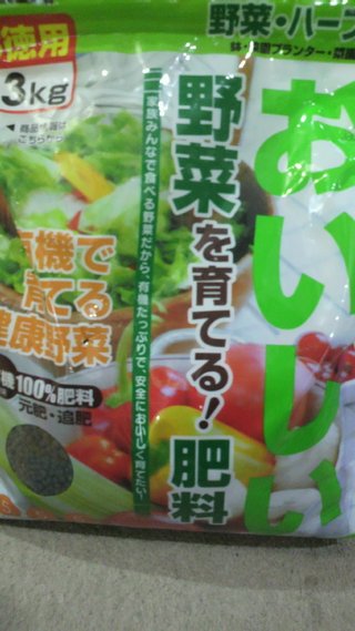 セリア、100均の観葉植物育ててる方☆