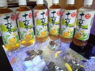 【最新版】今、あなたのストレス何ですか？