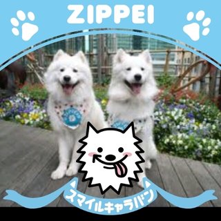 日テレ【ZIP！】月～金曜・前5：50～