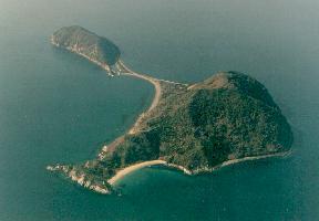 ザ!鉄腕!ＤＡＳＨ!!&#x{11:F9D8};