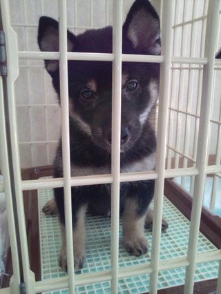 ハルちゃん、ココにいるよ！！