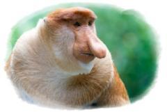 昼ドラ【赤い糸の女】フジ９/３スタート 