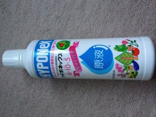 セリア、100均の観葉植物育ててる方☆