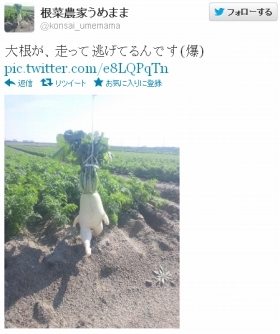 スッキリ【総合】