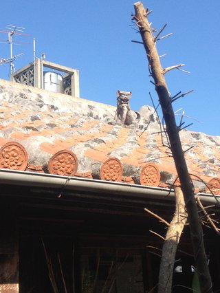 【総合】沖縄【作ったさ～】