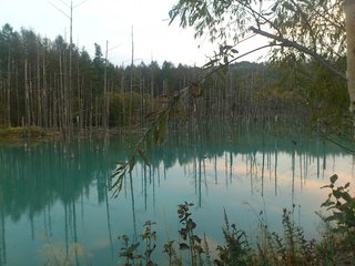 【北海道】総合【みんなでﾜｲﾜｲ】