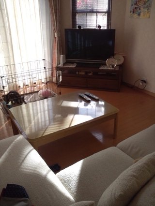 ハルちゃん、ココにいるよ！！