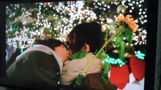 火９【遅咲きのヒマワリ】生田斗真