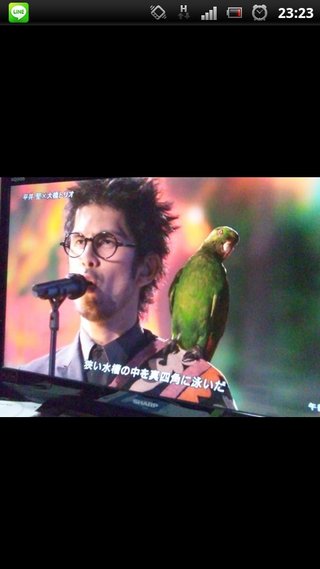【FNS歌謡祭  2012】フジ