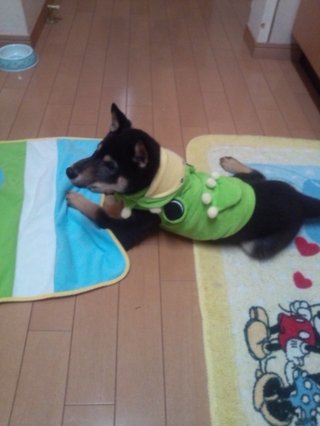 ハルちゃん、ココにいるよ！！