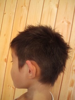 イケメン息子をお持ちの方