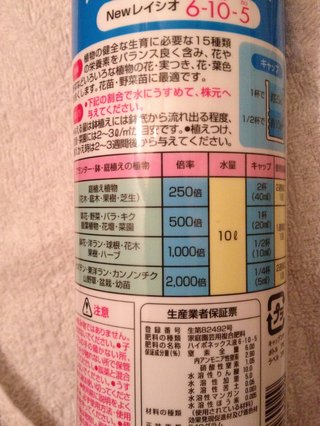 セリア、100均の観葉植物育ててる方☆