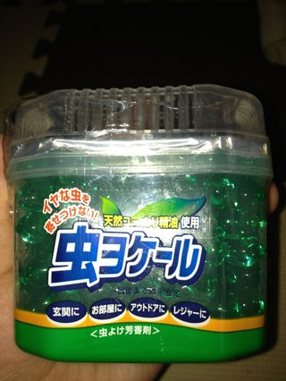 セリア、100均の観葉植物育ててる方☆