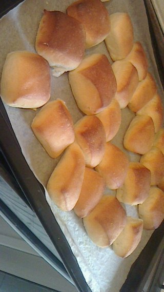 ハルちゃん、ココにいるよ！！