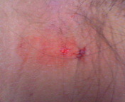 暴力振るわれてますが