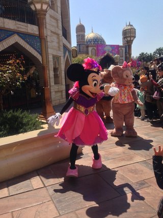 ﾃﾞｨｽﾞﾆｰﾗﾝﾄﾞ＆ｼｰ【写真】