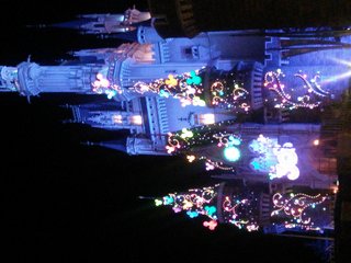 ﾃﾞｨｽﾞﾆｰﾗﾝﾄﾞ＆ｼｰ【写真】