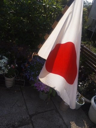 風にたなびく日の丸の道