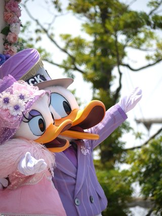 ﾃﾞｨｽﾞﾆｰﾗﾝﾄﾞ＆ｼｰ【写真】