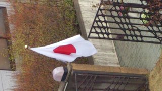 風にたなびく日の丸の道