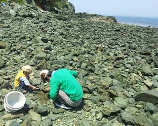 全般から移動！あなたの旦那様の後ろ姿、晒、し大会☆