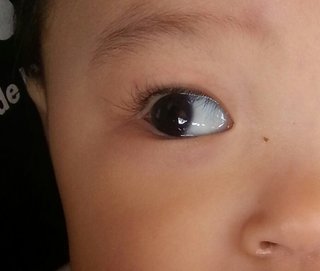 お目目くりんくりんで睫毛くるんくるんなお子様