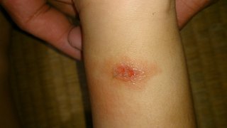 育児【ちら裏】