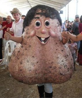 「総合」ミヤネ屋「全国放送」