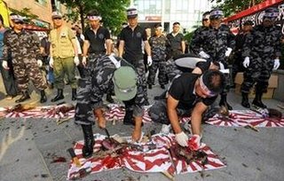 小学校に首を切断されたネコの死骸　気仙沼市 