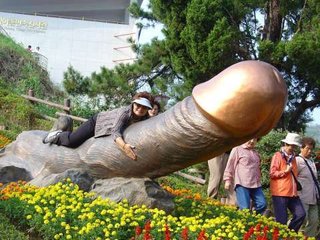 小学校に首を切断されたネコの死骸　気仙沼市 