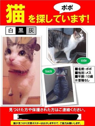 静岡県【総合】