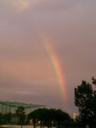 埼玉県【総合】