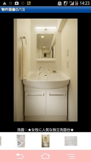 洗面台の収納　こういうタイプ（写）