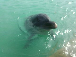 【総合】沖縄【作ったさ～】