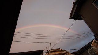 埼玉県【総合】