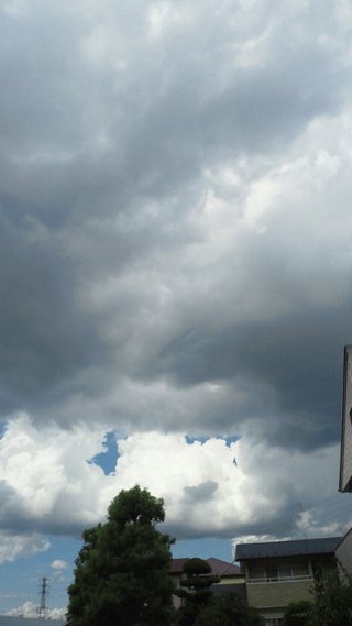 埼玉県【総合】