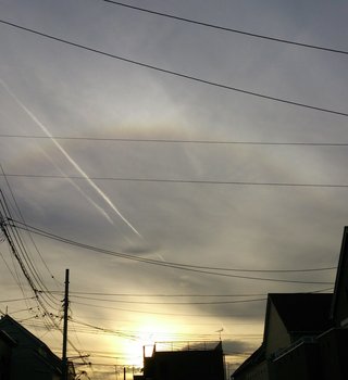 埼玉県【総合】