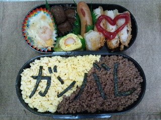 お弁当見せてください