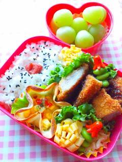 お弁当見せてください