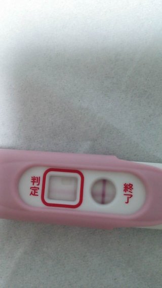 【妊娠検査薬フライング判定】写真はこちら【専用】