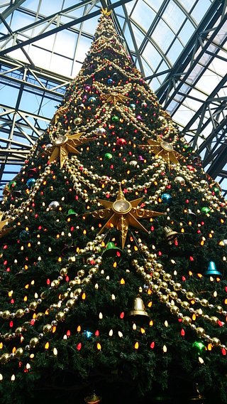 157cm52,4kg29,8% 踏み台とお酢で