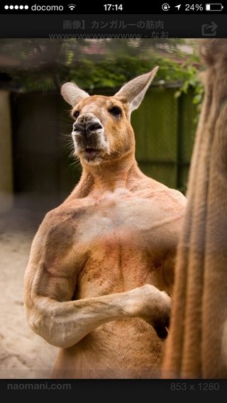 【豪州】奇形や発達・身体の障害…兄と妹を最初に4世代にわたって近親交配を繰り返した”集落”