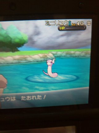 【３DS】ポケモンX・Y【雑談】