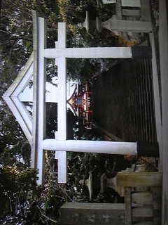 【ちらし裏】聞いてほしいの【ここに書け】