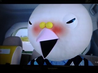 初対面なのに鳥類呼ばわり！