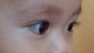 お目目くりんくりんで睫毛くるんくるんなお子様